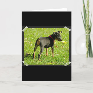 Doberman Welppies Grußkarte Karte