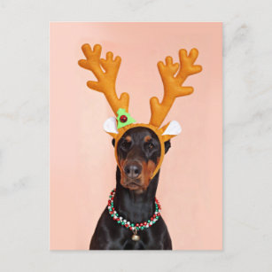 Doberman with Horns of a Deer Postkarte