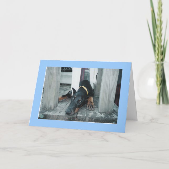 Doberman, wünschst du wärst hier karte (Vorderseite)