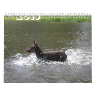 Dobermann 2013 Kalender-verbessert Nov. Kalender