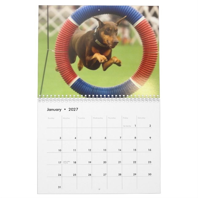 Dobermann 2013 Kalender-verbessert Nov. Kalender (Jan 2027)
