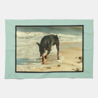 Dobermann am Strand-Malerei-Bild