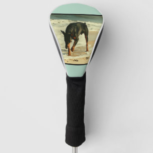 Dobermann am Strand-Malerei-Bild Golf Headcover