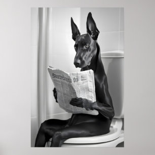 Dobermann auf Toilette, Zeitung, Lustige Badezimme Poster