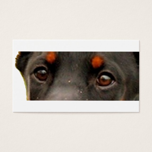 Dobermann Augen (Vorderseite)