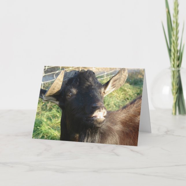 Dobermann der Alpenbilly Karte (Vorderseite)