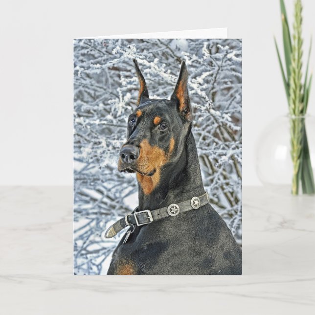 Dobermann-eisige Tagesfeiertags-Karte Feiertagskarte (Vorderseite)