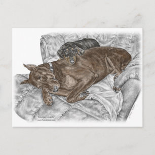 Dobermann Hund und Welpe Postkarte