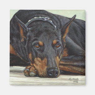 Dobermann-Hundemagnet Magnet