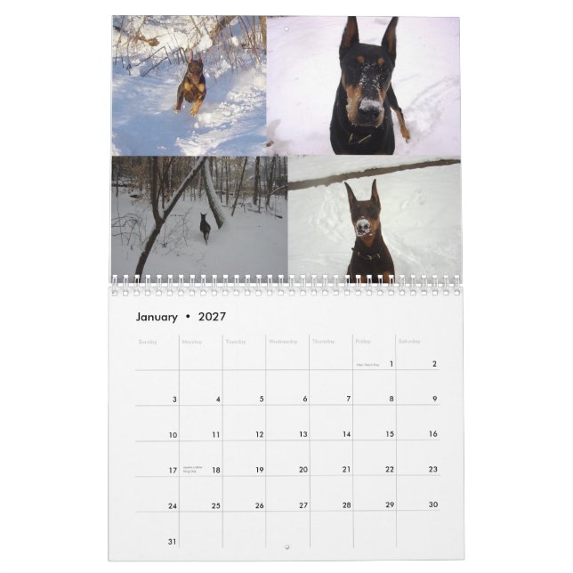Dobermann-Kalender 2012 wieder Kalender (Jan 2027)