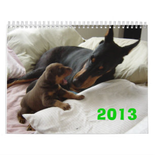 Dobermann-Kalender 2013 Kalender