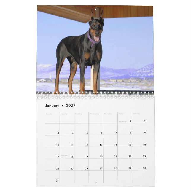 Dobermann-Kalender 2013 Kalender (Jan 2027)