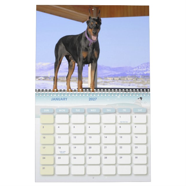 Dobermann-Kalender Kalender (Jan 2027)