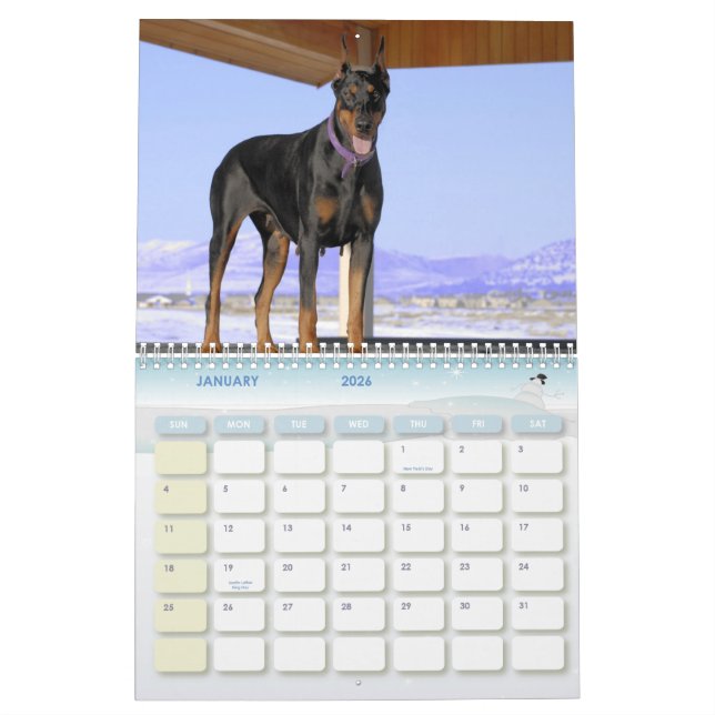 Dobermann-Kalender Kalender (Jan 2026)