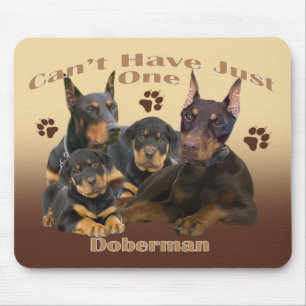 Dobermann kann gerade ein mousepad nicht haben