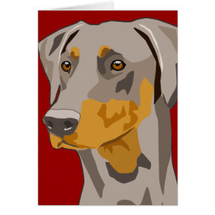 Dobermann-Kopf, Kitz, Uncropped