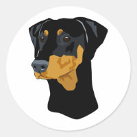 Dobermann-Kopf, Schwarzes, Uncropped