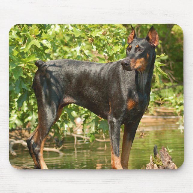 Dobermann-Mausunterlage Mousepad (Vorne)