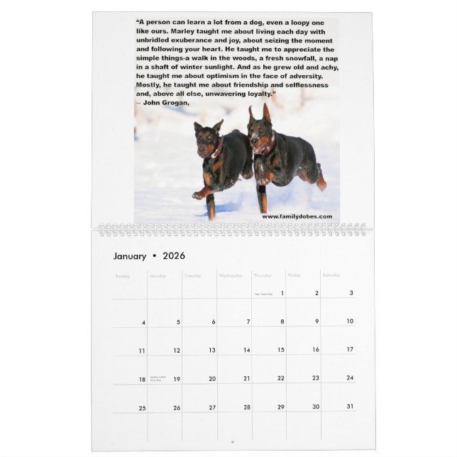 Dobermann Meme Kalender (Jan 2026)
