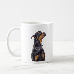 Dobermann mit der Sneaky Blick-Tasse Tasse