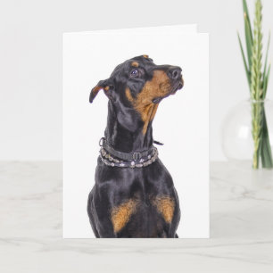 Dobermann mit hinterlistigem Blick wer ich? Karte