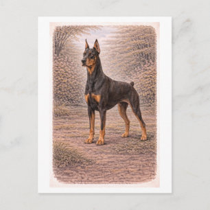 Dobermann Pinscher im Vintage-Stil Postkarte