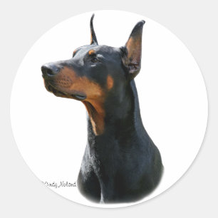 Dobermann Pinscher Kopfschwarz Sticker