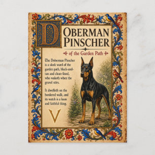 Dobermann Pinscher, mittelalterliche Bestiarien-Ku Postkarte
