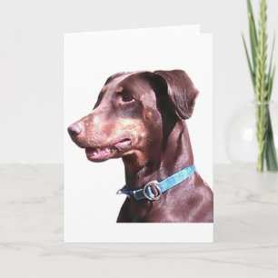 Dobermann Pinscher Rot Karte