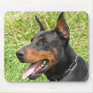 Dobermann Pinscher Welpen Hund Schiefertafel Mausp Mousepad
