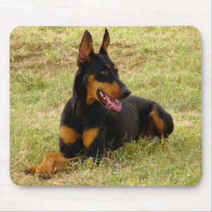 Dobermann Pinscher Welpen-Mauspad Mousepad