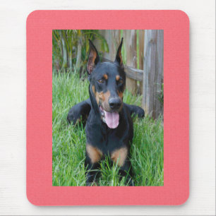 Dobermann Pinscher Welpenhund Rosa Mauspad