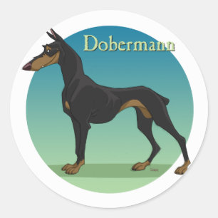 Dobermann Runder Aufkleber
