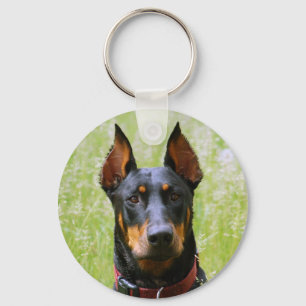 Dobermann-Schlüsselanhänger Schlüsselanhänger