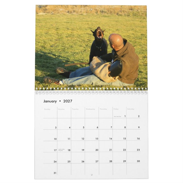 Dobermann-Schutzkalender Kalender (Jan 2027)