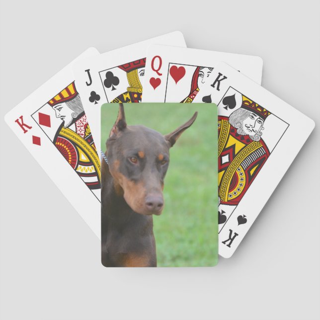 Dobermann Spielkarten (Rückseite)