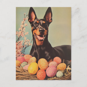 Dobermann Vintage Ostern Postkarte