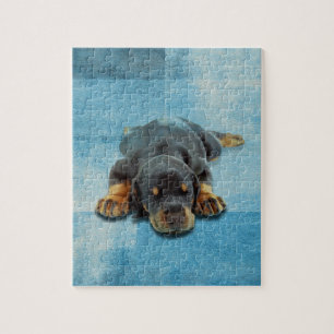 Dobermann Welpe - DobermannPinscher Puzzle