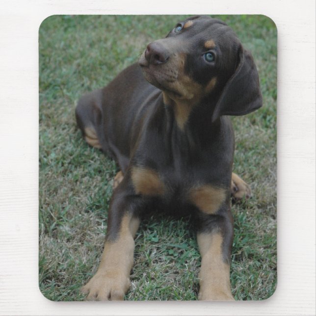 Dobermann-Welpe mousepad (Vorne)