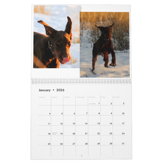 Dobermann-Welpen-Kalender 2012 Kalender (Jan 2026)