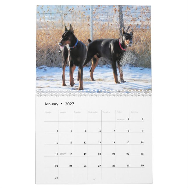 Dobermann-Welpen-Kalender 2013 Kalender (Jan 2027)