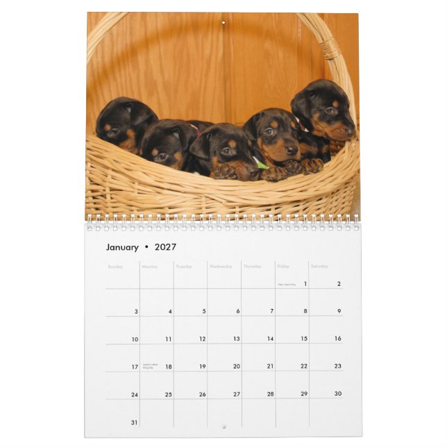 Dobermann-Welpen-Kalender aktualisierte 2012 Kalender (Jan 2027)
