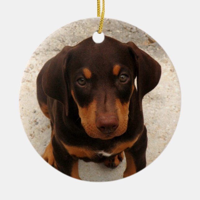 Dobermann-Welpen-Verzierung Keramikornament (Vorne)