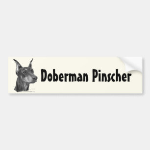 DobermannPinscher Autoaufkleber