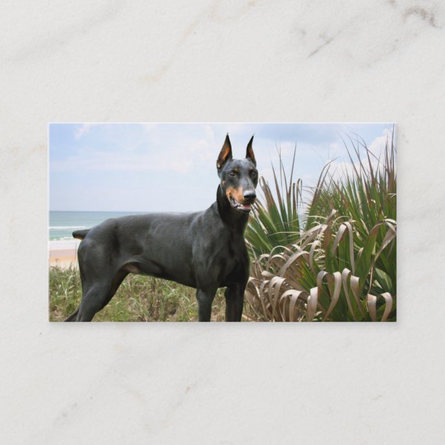 Dobermannpinscher-Brüter-Visitenkarte Visitenkarte (Vorderseite)