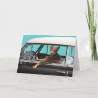 DobermannPinscher, der klassisches Auto fährt