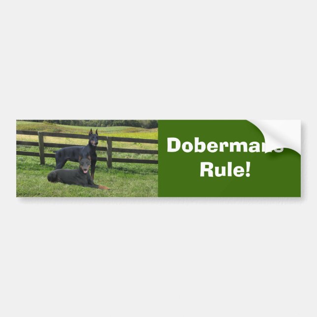 Dobermannpinscher-Freund-Autoaufkleber Autoaufkleber (Vorne)