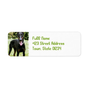 Dobermannpinscher-HundeRücksendeadresse-Aufkleber