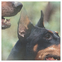 DobermannPinscher im Holz