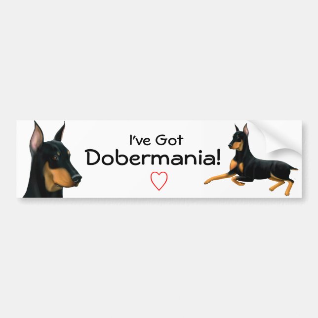 Dobermannpinscher-Liebe-Autoaufkleber Autoaufkleber (Vorne)